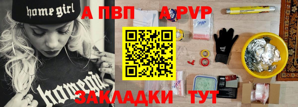 Alfa_PVP СК КРИС Губкинский