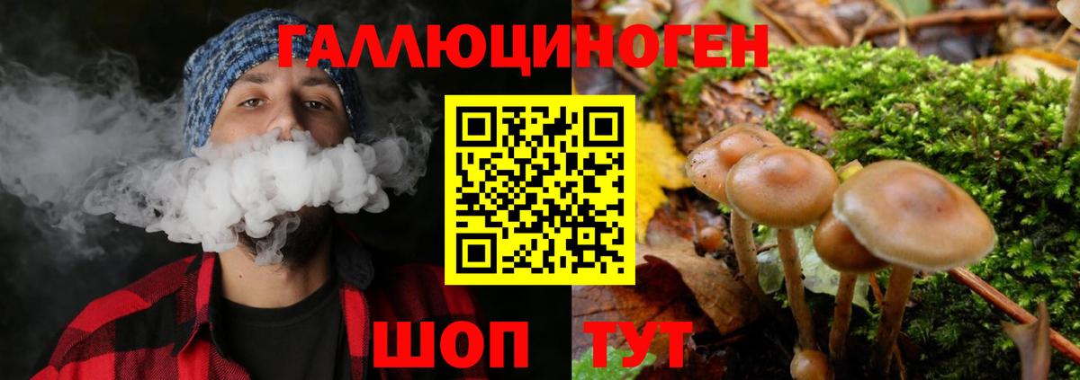 Псилоцибиновые грибы GOLDEN TEACHER Губкинский