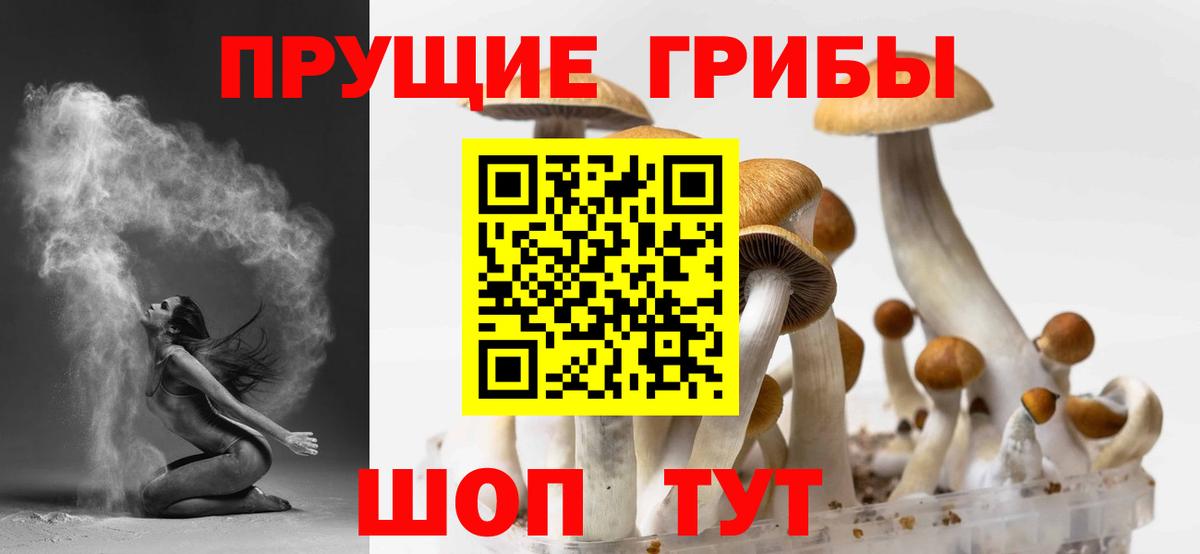 Галлюциногенные грибы Psilocybine cubensis  Вход с VPN  Губкинский  Псилоцибиновые грибы мухоморы 