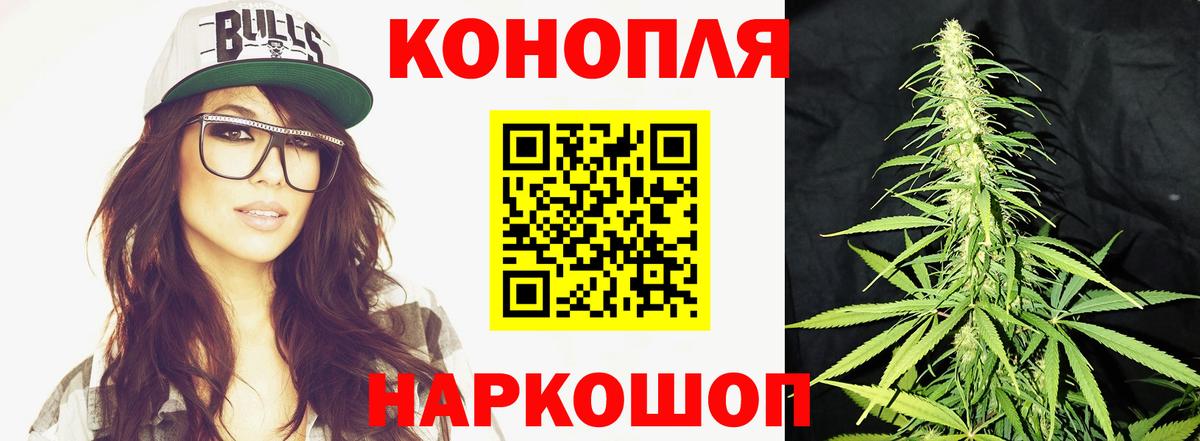 Канабис OG Kush  Каннабис семена  Конопля индика  Вход с VPN  Канабис AK-47  Губкинский 